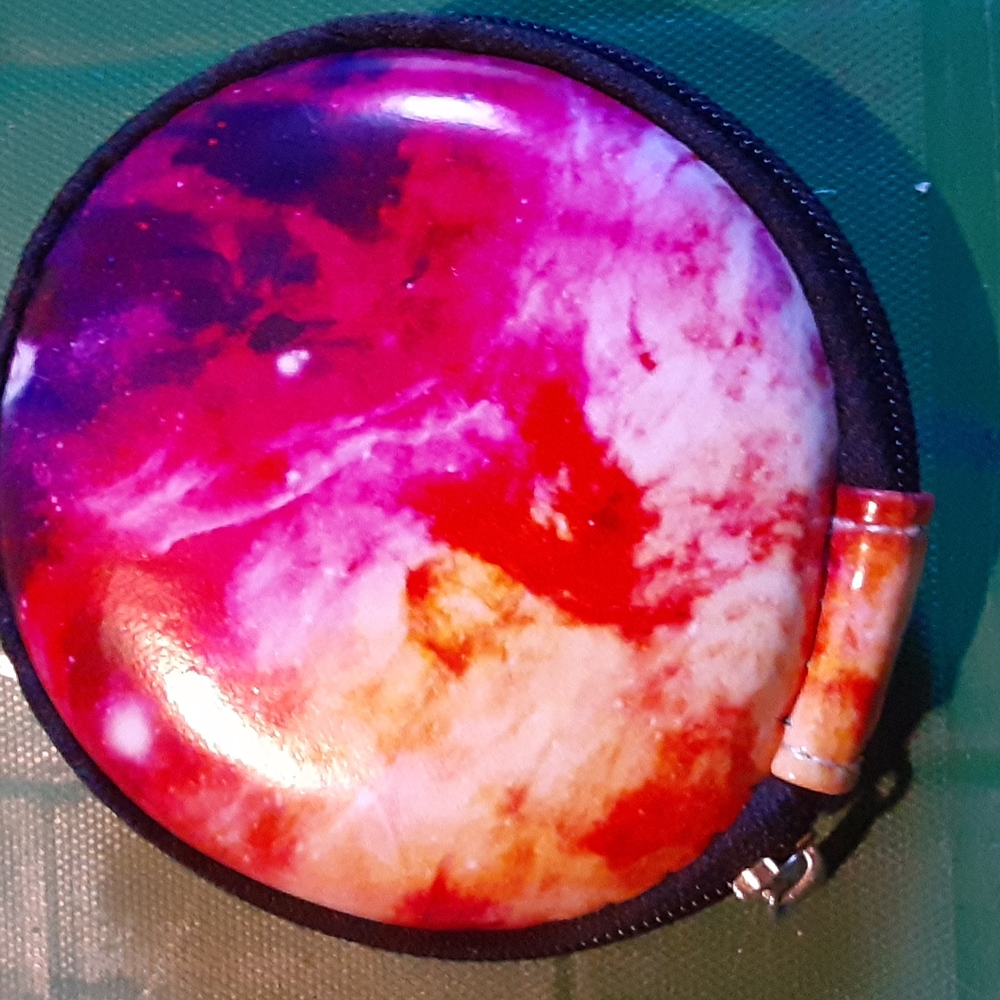 Earbud Case